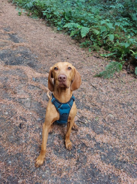 Benny43male, 43, United Kingdom