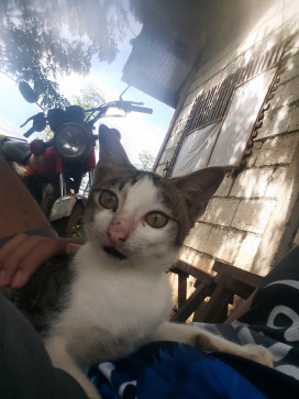 Lauriano Gaviola, 18, Philippines