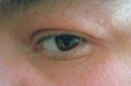 AnyTxMenHere, 41, United States