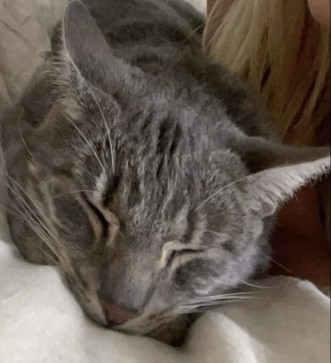 Livvy, 18, United States