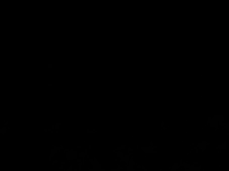 Hey Wassup, 21, India