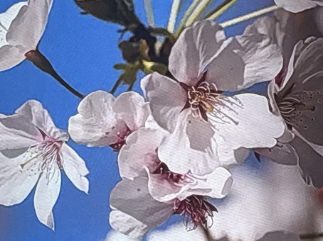 Fortnite Life, 21, Sweden