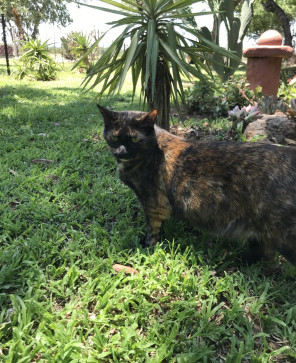 Angie, 18, South Africa