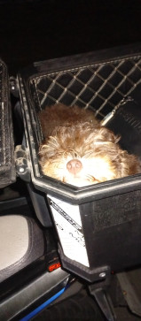 Daymnn, 26, Philippines