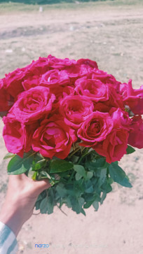 SAAHO GAMING, 22, India