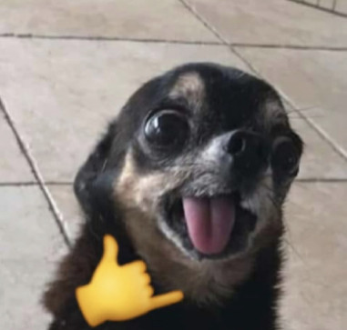 Chris, 26, United States