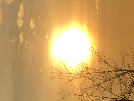 Tim, 53, United States