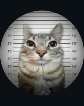 High_on_smoke_rn, 23, Singapore