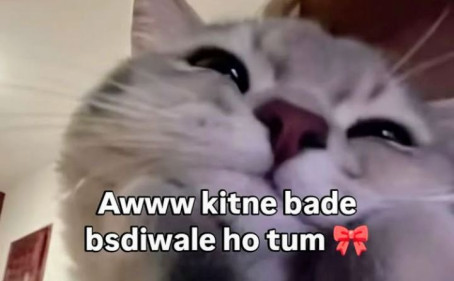 Natkhat America, 23, India