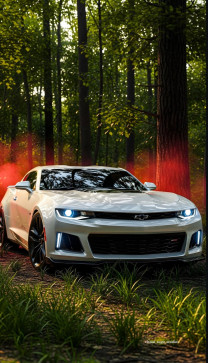 The Introvert, 23, India