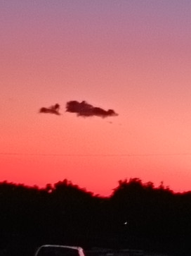 Denkinomine, 21, Spain