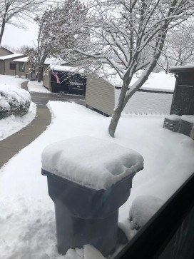 Mary, 45, United States