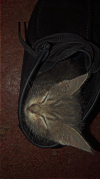 Jay, 18, United States