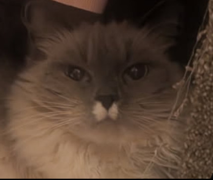 Jack, 21, United States