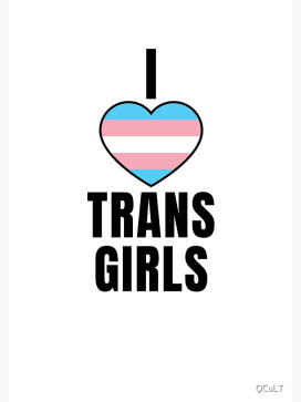 TransGirlAdmirer, 26, United States