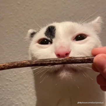 Mewheniow, 19, United Kingdom