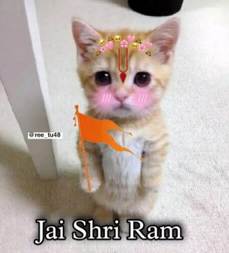 Right Wings, 24, India