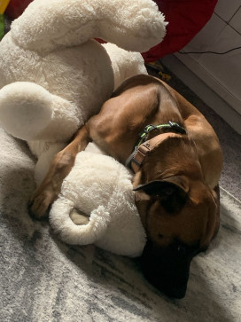 Donna, 18, United States