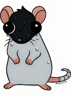 Sam_14, 18, United States