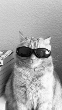 Mamoon Rasheed, 23, India