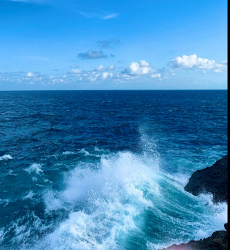 Brandonposner, 40, Canada