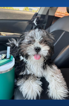 Mistressken, 28, United States