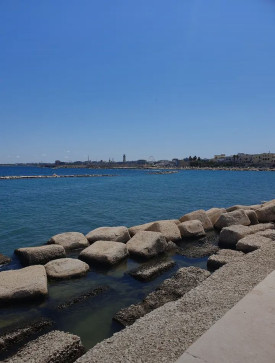 Mellisa Denise, 39, United States