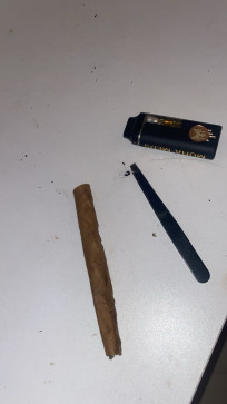 Maria Patten, 18, United States