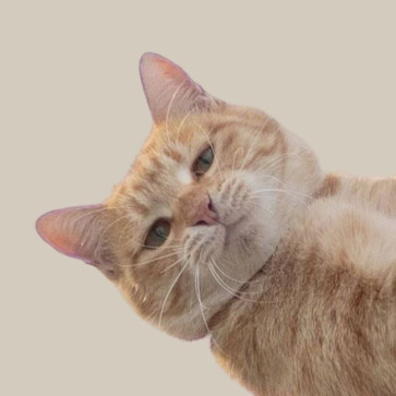 Mssleep, 20, Philippines