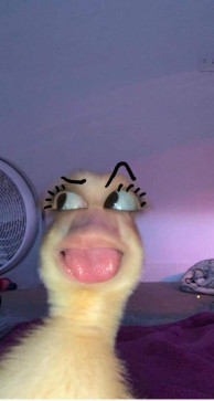 Cheekuuuu, 18, India