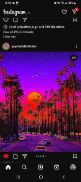 Paxton Howorth, 23, United States