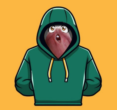 Rodder, 39, Malaysia