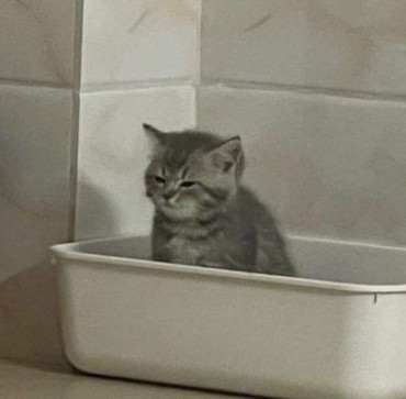 Just Passing Time, 18, Saudi Arabia