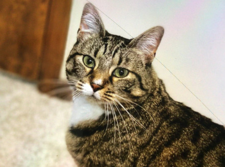 Noah, 18, United States