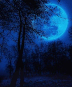 Silverkm, 18, United States