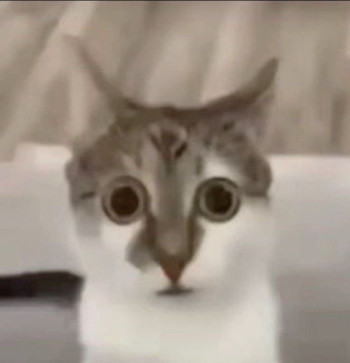 Lily, 18, Philippines