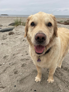 Totti B, 54, Germany