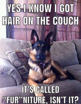 Love Yourself, 39, Trinidad And Tobago