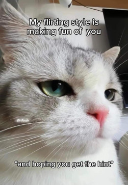 Kato Logy, 28, Qatar