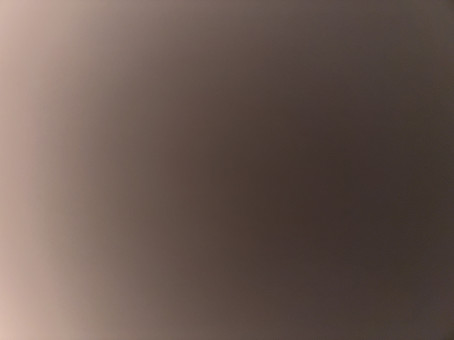 Wils, 18, United Kingdom