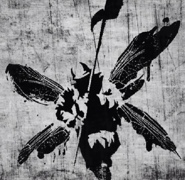 Sorrow, 20, Australia