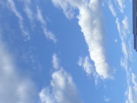 Have U Met Ted, 27, Algeria