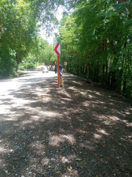 Gail, 23, Philippines