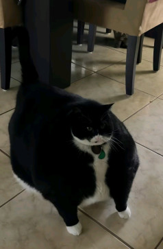 Steve , 22, United States