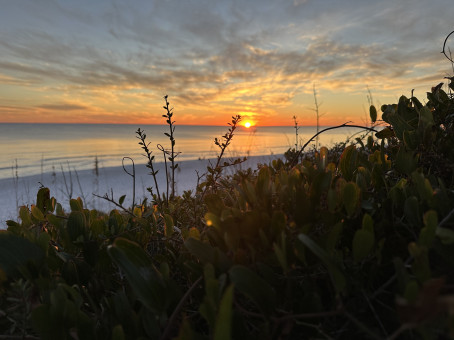 Noah, 27, United States