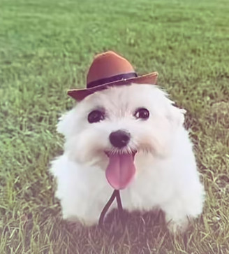 Jason, 20, United States