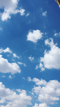 Ellie, 23, United States