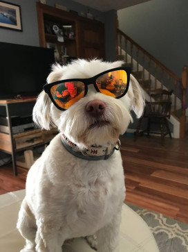 Steve Waldner, 18, United States