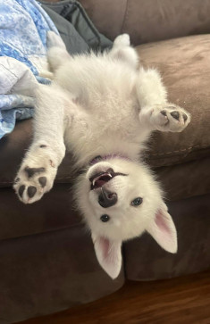 BeachLover69420, 37, United States