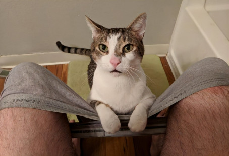 Riko, 18, United States